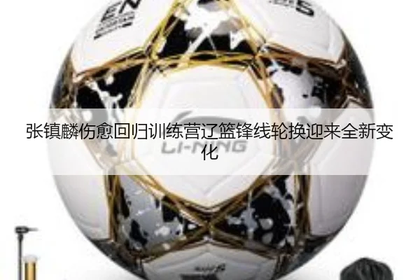 张镇麟伤愈回归训练营辽篮锋线轮换迎来全新变化